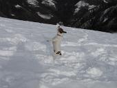 Salita da Rovetta a Cima Paré con neve il 6 dicembre 2009 (Gruppo di 9 escursionisti del Pieroweb) - FOTOGALLERY